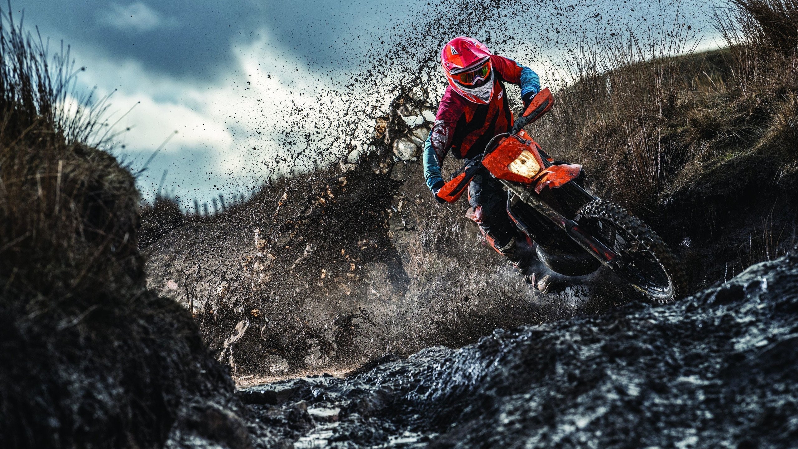 开云网站-《知名战队揭秘：他们的成功之路》，知名战队名字