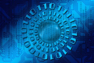 开云体育-大数据应用助力训练科学管理，大数据在训练管理中的应用